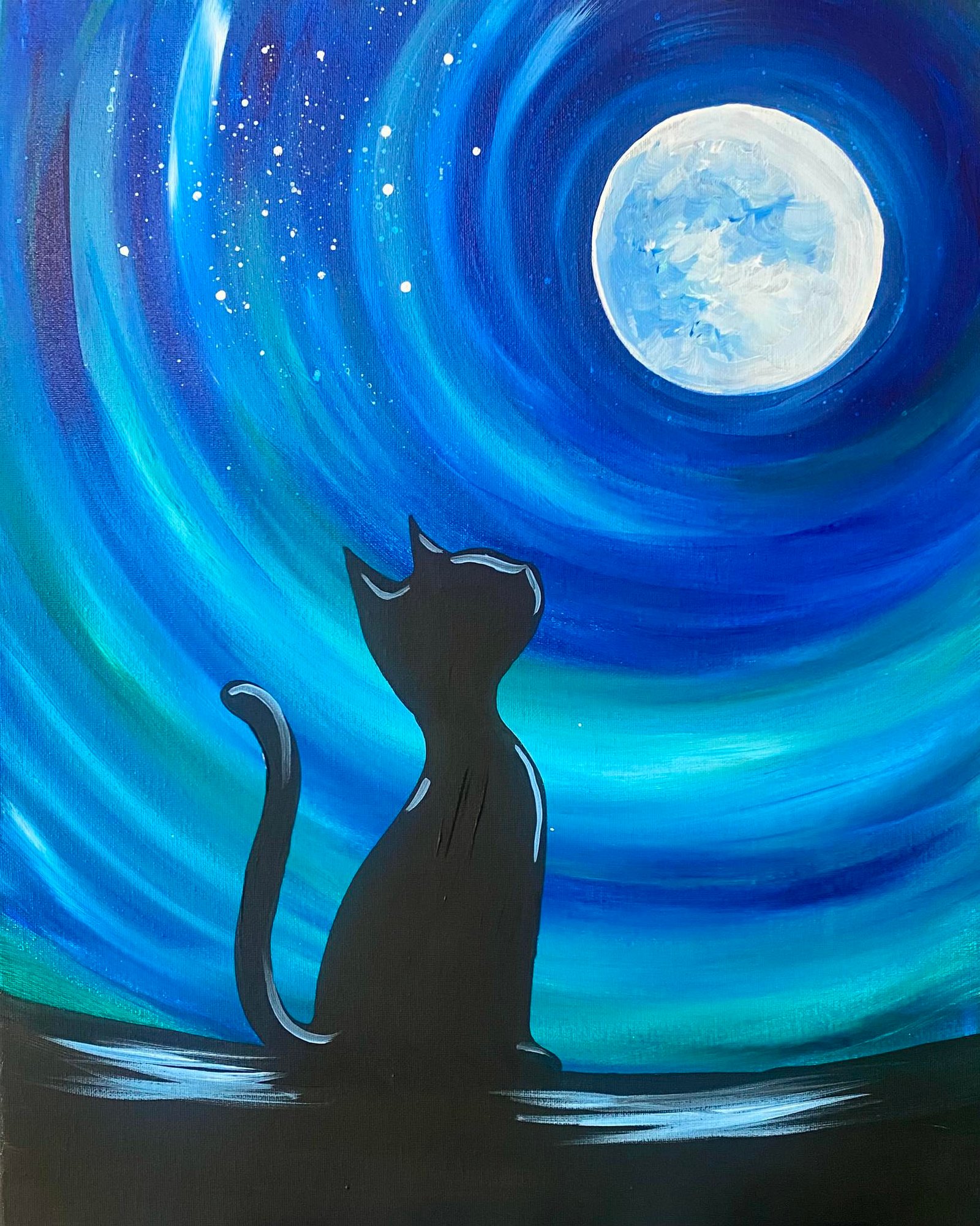 Meows in the Moonlight
